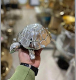 شکلات خوری لاک پشت آلومینیوم